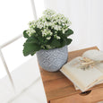 Diamond Pattern Cement Planter