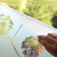 Dandelion Art Glass Window Film