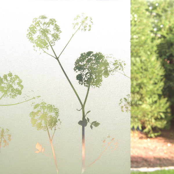 Dandelion Art Glass Window Film