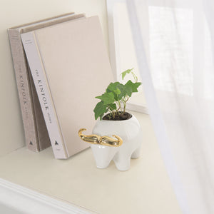 White & Gold Ceramic Bull Planter