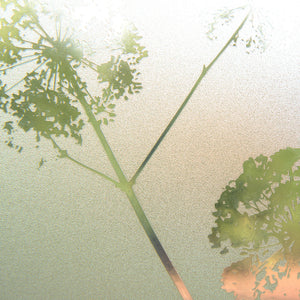 Dandelion Art Glass Window Film